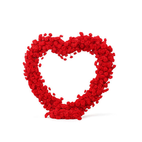 Heart Arch rental