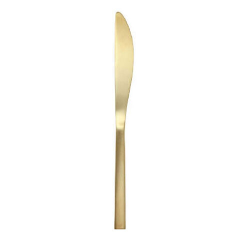 Dinner Knife rental