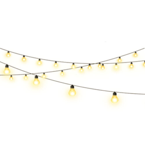 Fairy Light rental