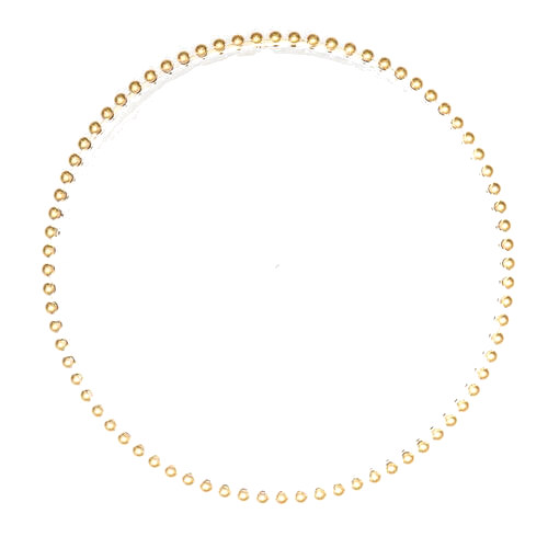 Gold Charger Plate rental